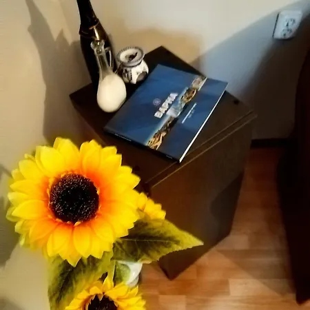 Beachside In The Center Apartamento *